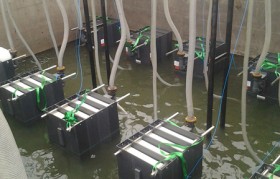 發(fā)電廠垃圾滲濾液水質(zhì)特點是什么？